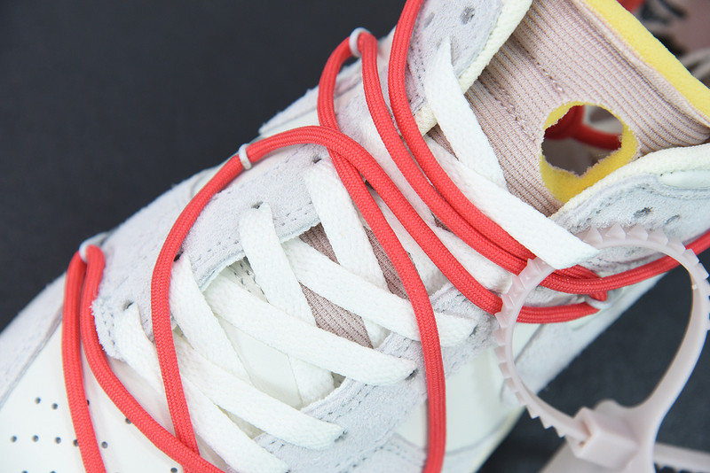 of x dunk low