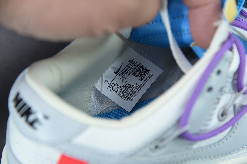 of x dunk low